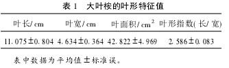 表1 大葉桉的葉形特征值