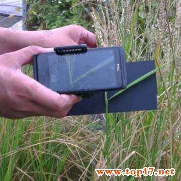 水稻劍葉夾角測量儀