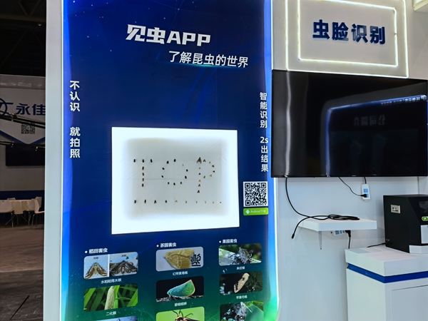 ^I(lng)(do)F(xin)(chng)w(yn)ҊxAPP