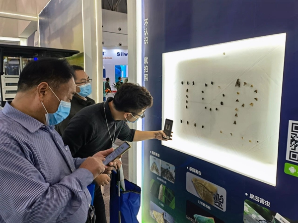 ^I(lng)(do)F(xin)(chng)w(yn)ҊxAPP