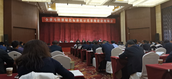 甘肅省全省馬鈴薯綠色標(biāo)準(zhǔn)化示范基地建設(shè)現(xiàn)場(chǎng)會(huì)在定西市安定區(qū)召開(kāi)