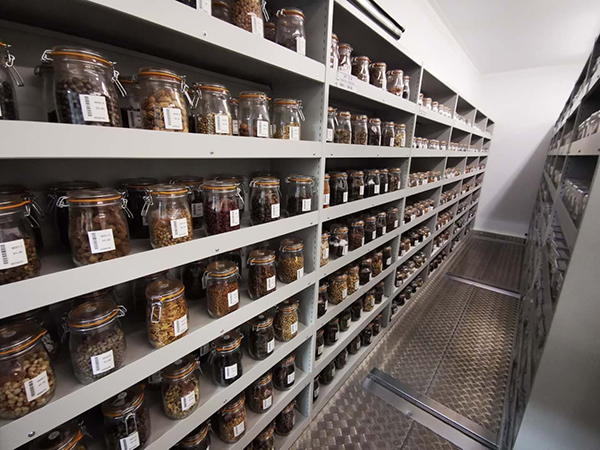 種質資源庫系統