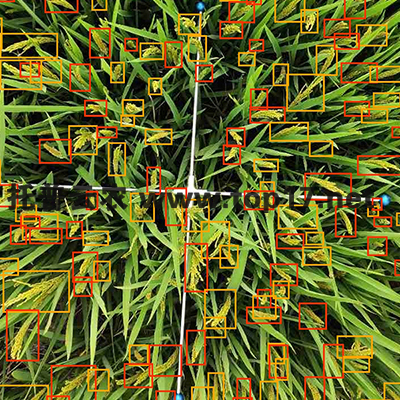 畝穗數(shù)測量