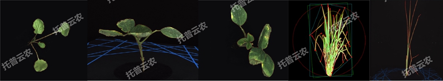 逆境模擬及植物生長監測平臺-2維