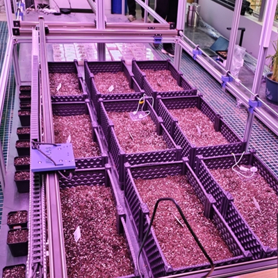 人工氣候室植物表型監(jiān)測系統(tǒng)