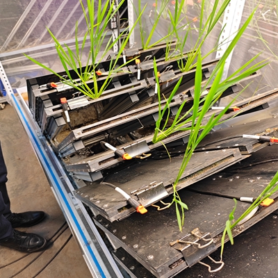 高通量植物根系表型采集分析系統(tǒng)(根盒式)